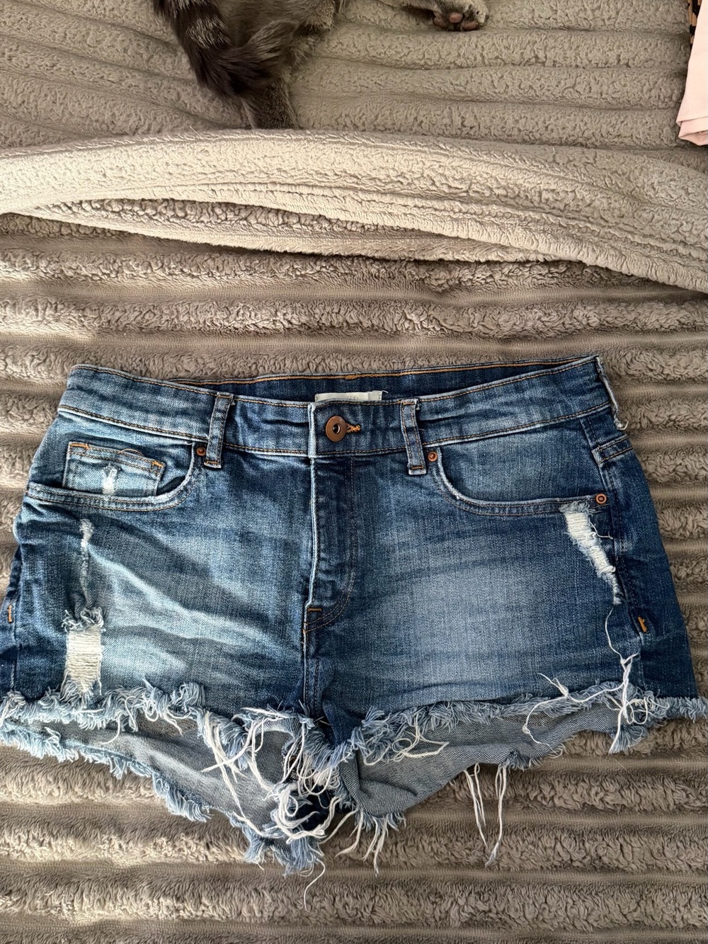 H&M Women's Medium Blue Distressed Denim Cutoff Shorts